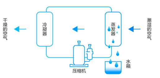 空调除湿原理（中央空调除湿原理）