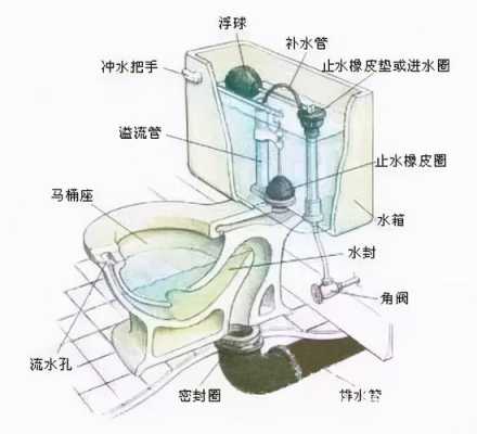 马桶构造（马桶构造的解剖图）