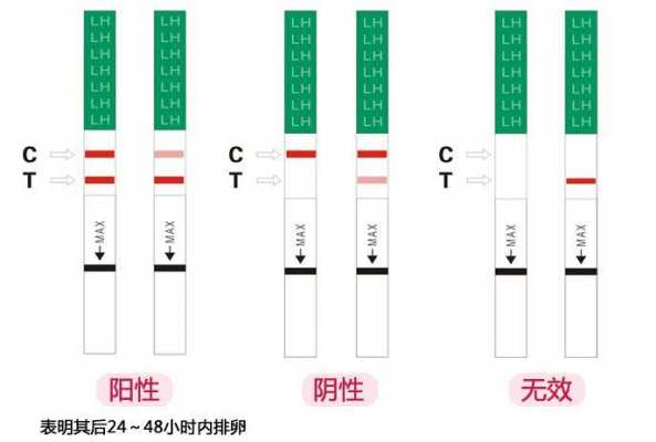 可可康（可可康验孕棒怎么看结果）