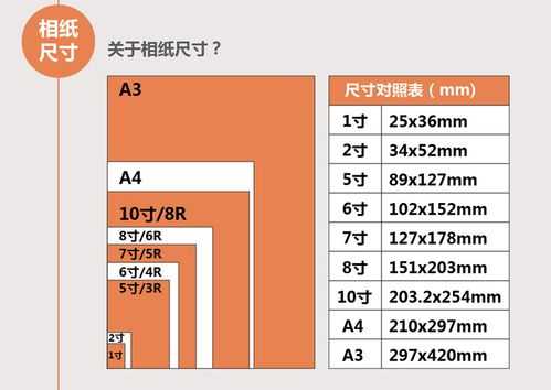 a6大小（A6大小）