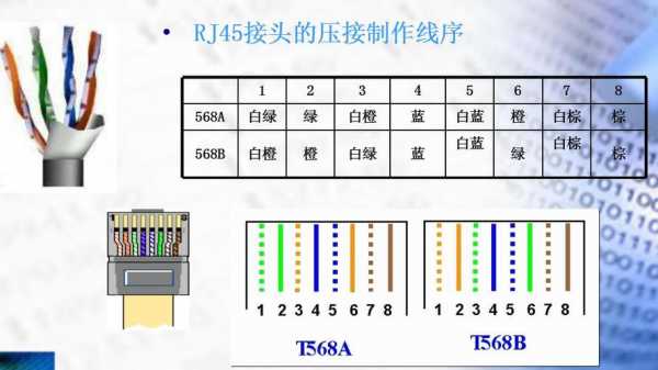 双绞线接法（双绞线接法的标准有哪两种）