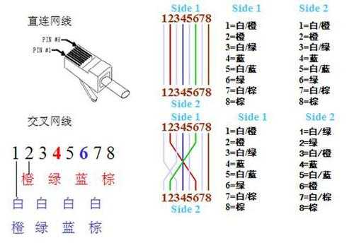 双绞线接法（双绞线接法的标准有哪两种）