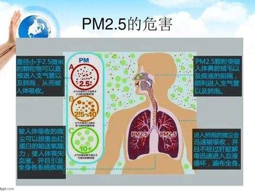 雾霾的危害（雾霾现象的危害）