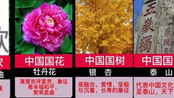 中国的国花是什么（中国的国树是什么）
