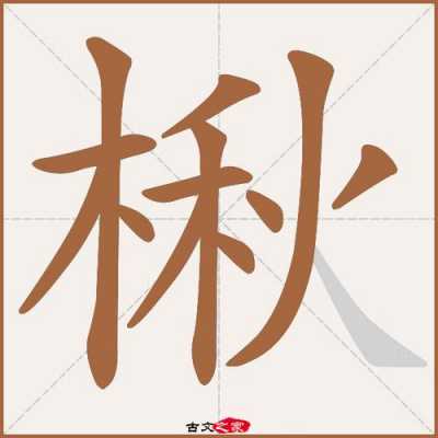 楸（楸怎么读）