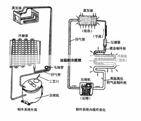 电冰箱的工作原理（电冰箱的工作原理视频）