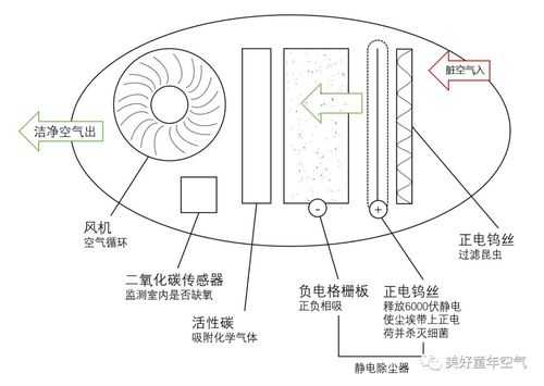 空气净化器原理（空气净化器原理及作用）