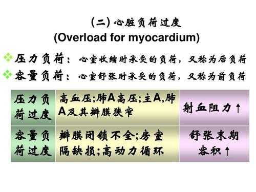 表面负荷（表面负荷什么意思）