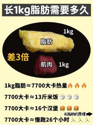 1kg是多少（1kg是多少斤?）