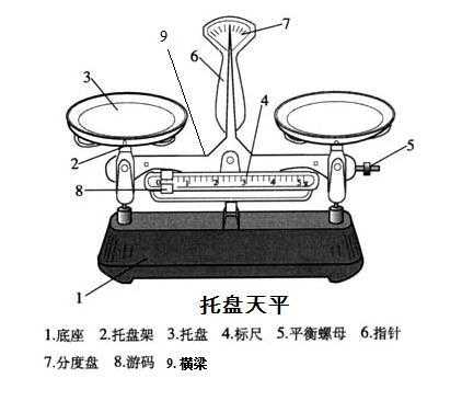 托盘秤（托盘秤怎么看）