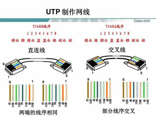 te线（te线和ne线有什么区别）