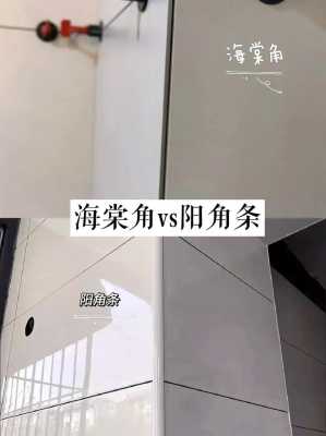 阳角是什么意思（阳角是什么意思?）