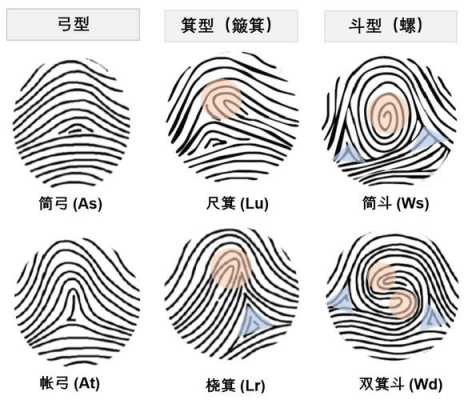 指纹识别技术（指纹识别技术有哪几种）