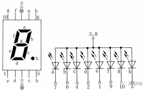 共阳极数码管（共阳极数码管引脚图）
