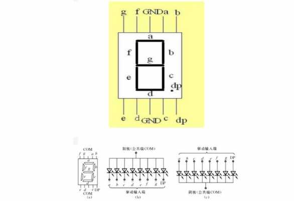 共阳极数码管（共阳极数码管引脚图）