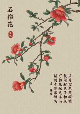 石榴花花语（石榴花花语文案）