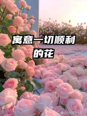 什么花代表爱情（除了玫瑰花还有什么花代表爱情）