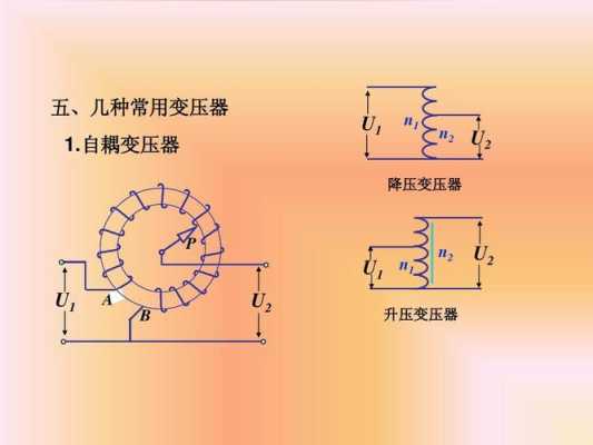 自耦（自耦电离什么意思）