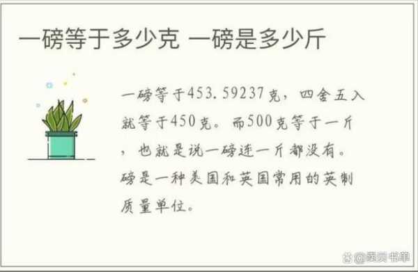 公斤磅换算（一磅等于多少斤）