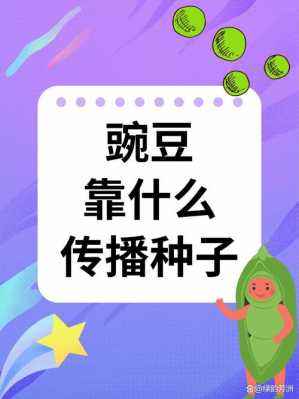 豌豆靠什么传播种子（豌豆靠什么传播种子的答案二年级）