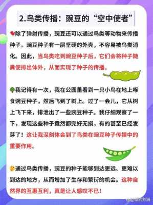 豌豆靠什么传播种子（豌豆靠什么传播种子的答案二年级）