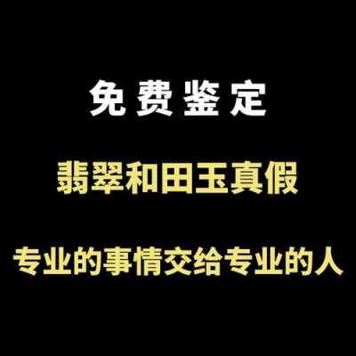 古玉鉴定估价（古玉鉴定估价软件）